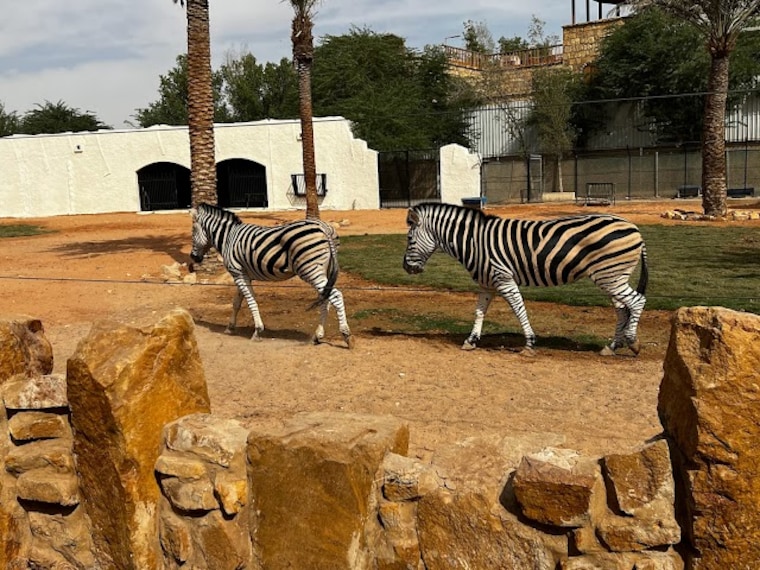 Riyadh_Zoo_3