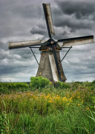 Kinderdijk-2