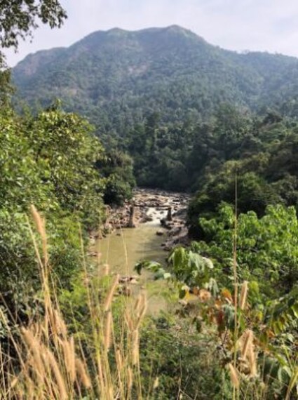 Sakleshpur Raxidi Estate Portrait Image