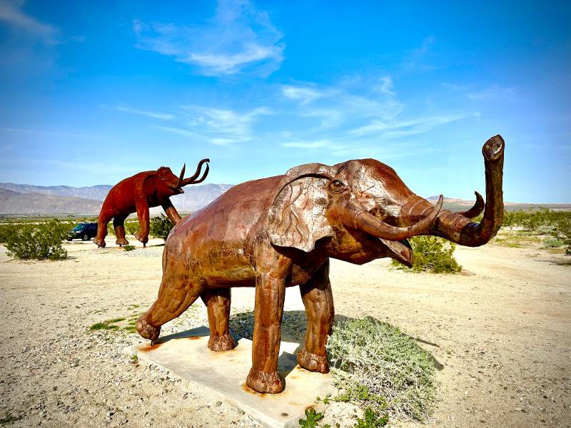 San_Diego_Anza_Borrego_Desert_Park_3