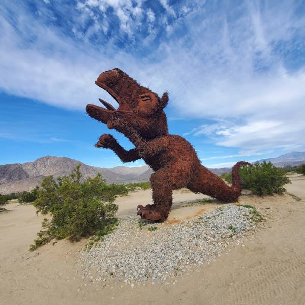 San_Diego_Anza_Borrego_Desert_Park_4