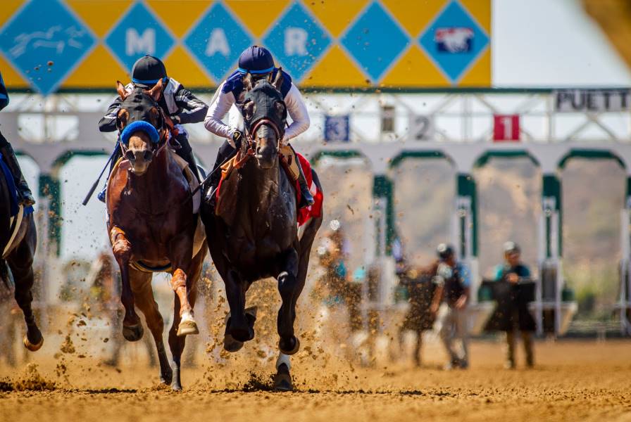 San_Diego_Del_Mar_Racing_1