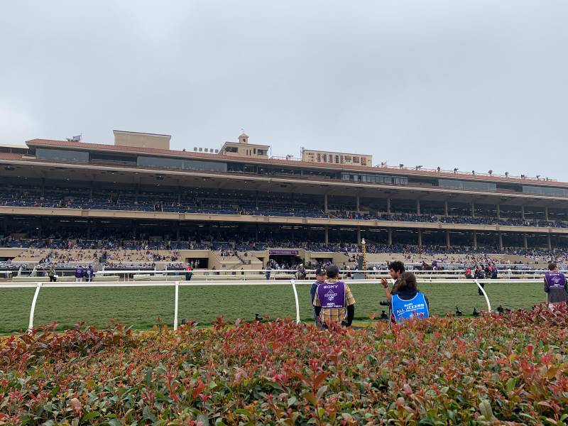 San_Diego_Del_Mar_Racing_7