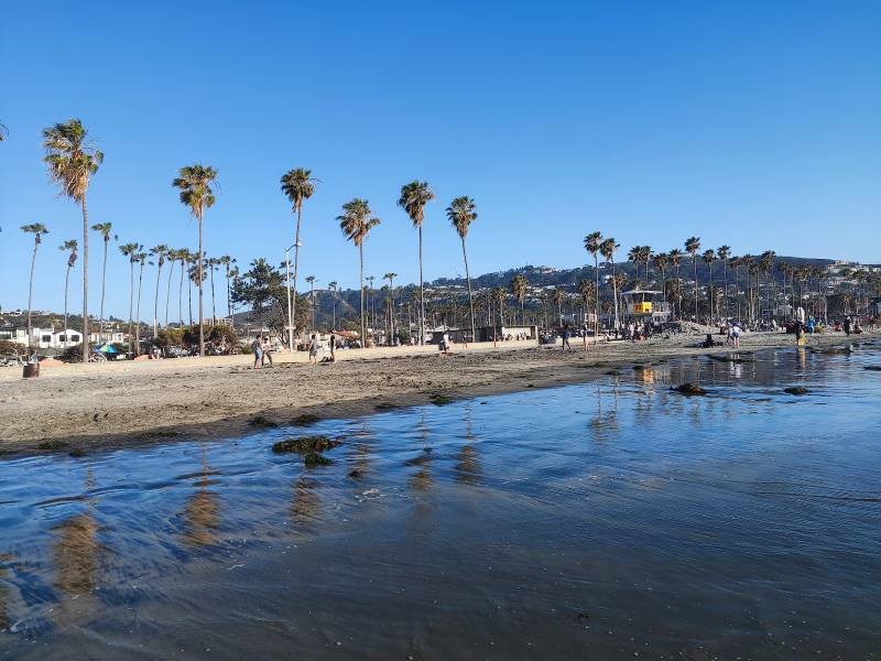 San_Diego_La_Jolla_Shores_Beach_3