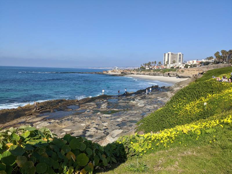 San_Diego_La_Jolla_Tide_Pools_3