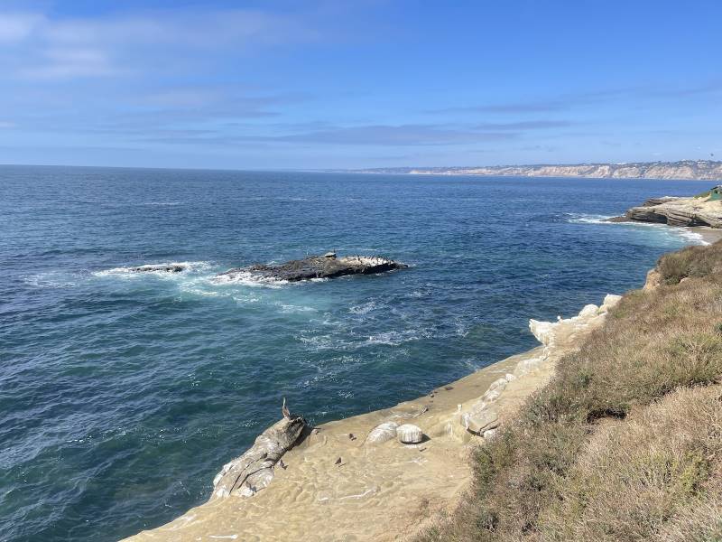 San_Diego_La_Jolla_Tide_Pools_9