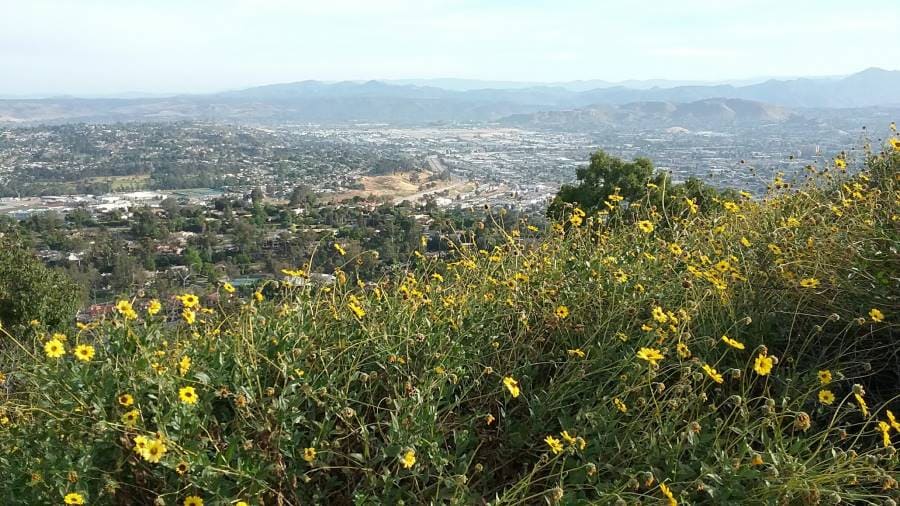 San_Diego_Mt_Helix_10
