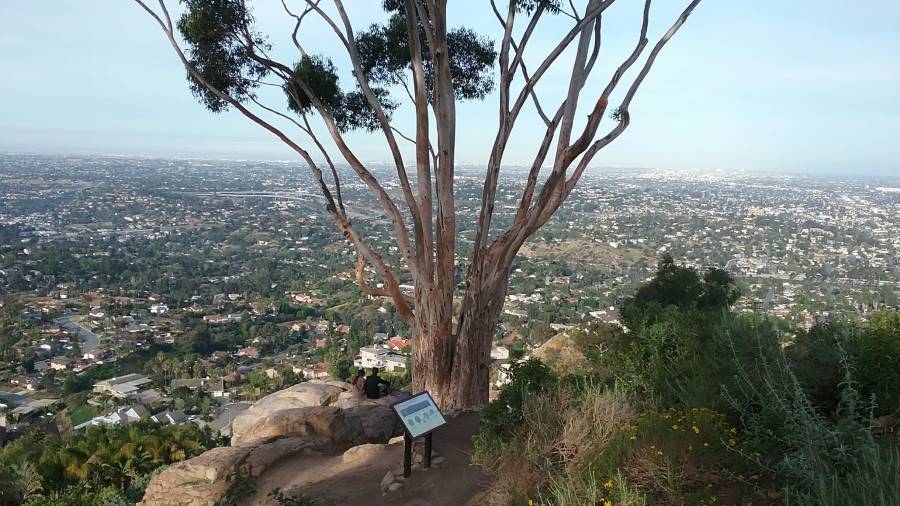 San_Diego_Mt_Helix_7