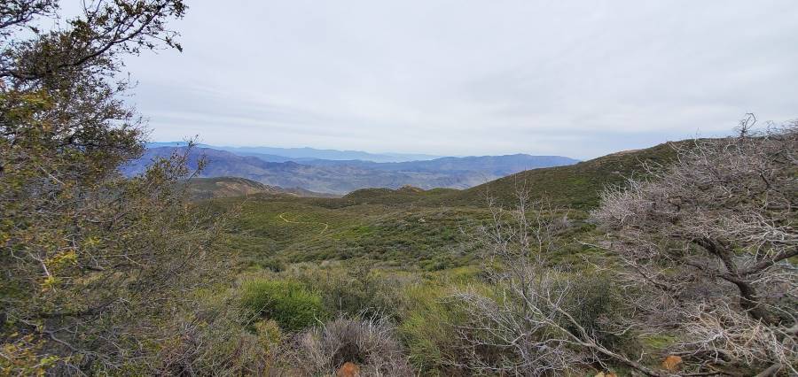 San_Diego_Mt_Laguna_4