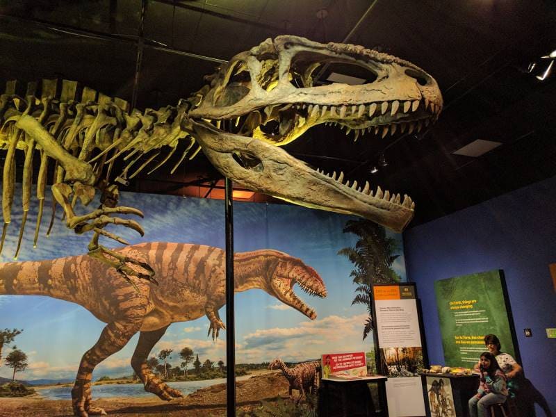 San_Diego_Natural_History_Museum_3