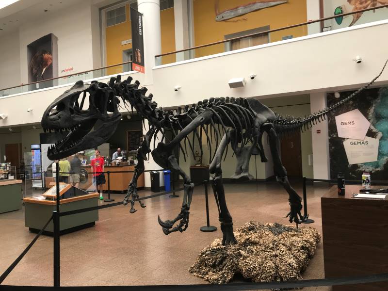 San_Diego_Natural_History_Museum_4