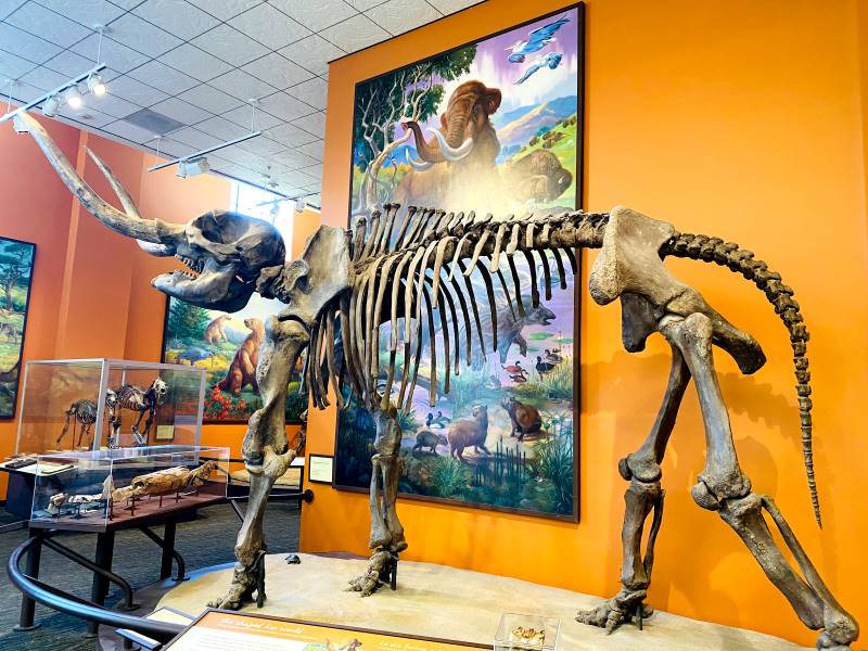 San_Diego_Natural_History_Museum_5