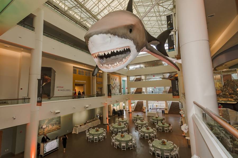 San_Diego_Natural_History_Museum_6