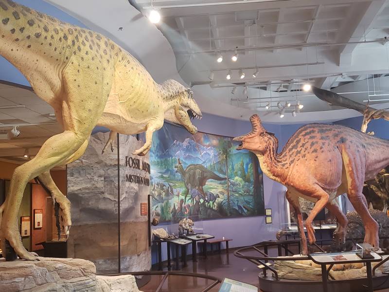 San_Diego_Natural_History_Museum_7
