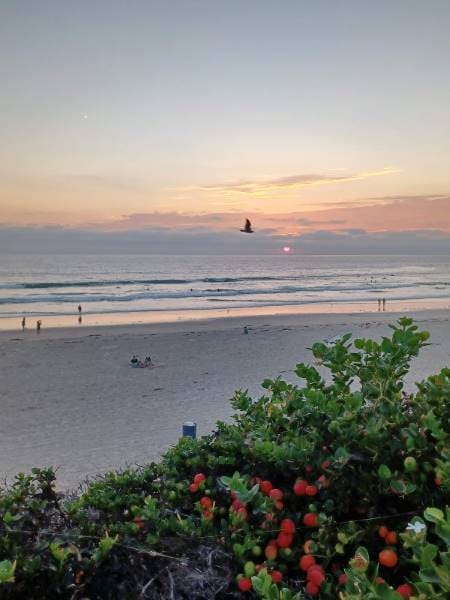 San_Diego_Pacific_Beach_10