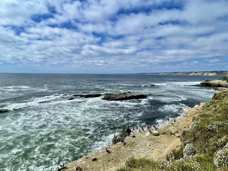 San_Diego_Shell_Beach_6