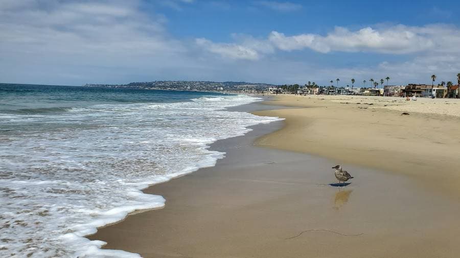 San_Diego_South_Mission_Beach_2