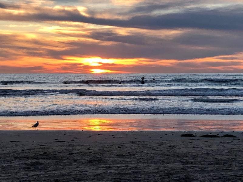 San_Diego_Tourmaline_Surf_Park_3