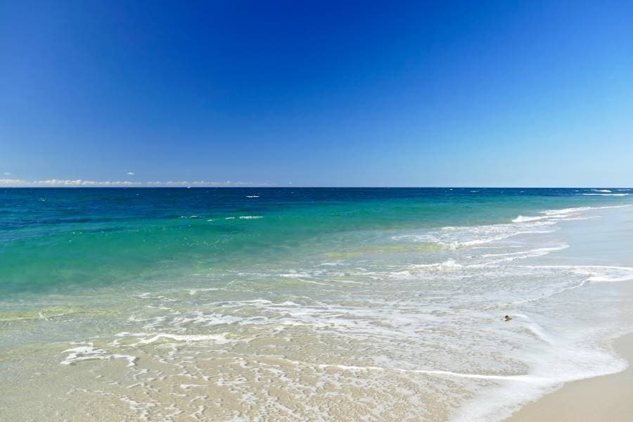 San_Diego_Windansea_Beach_9