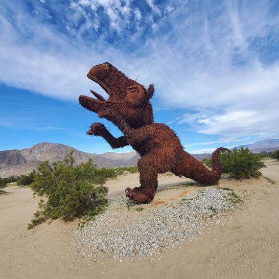 San_Diego_Anza_Borrego_Desert_Park_4