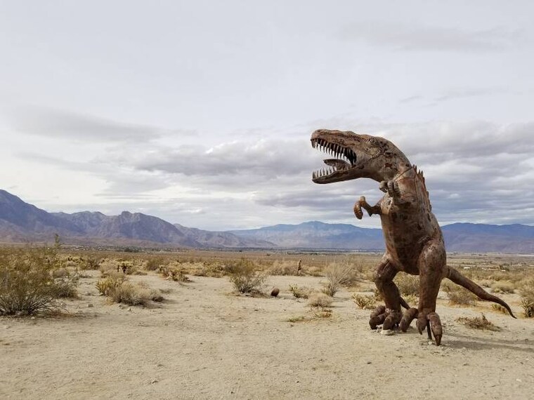 San_Diego_Anza_Borrego_Desert_Park_9