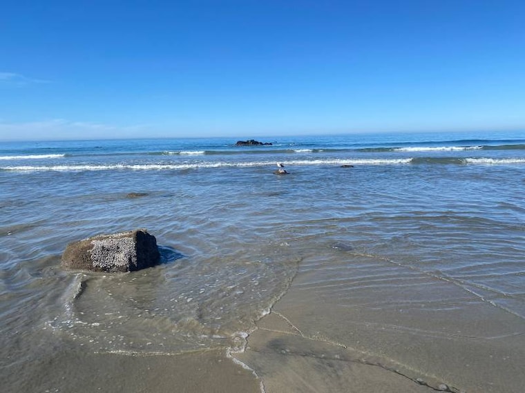 San_Diego_Blacks_Beach_6