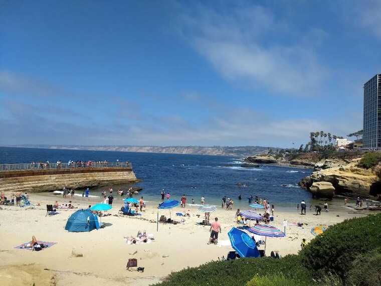 San_Diego_Childrens_Pool_La_Jolla_8