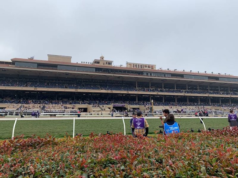 San_Diego_Del_Mar_Racing_7