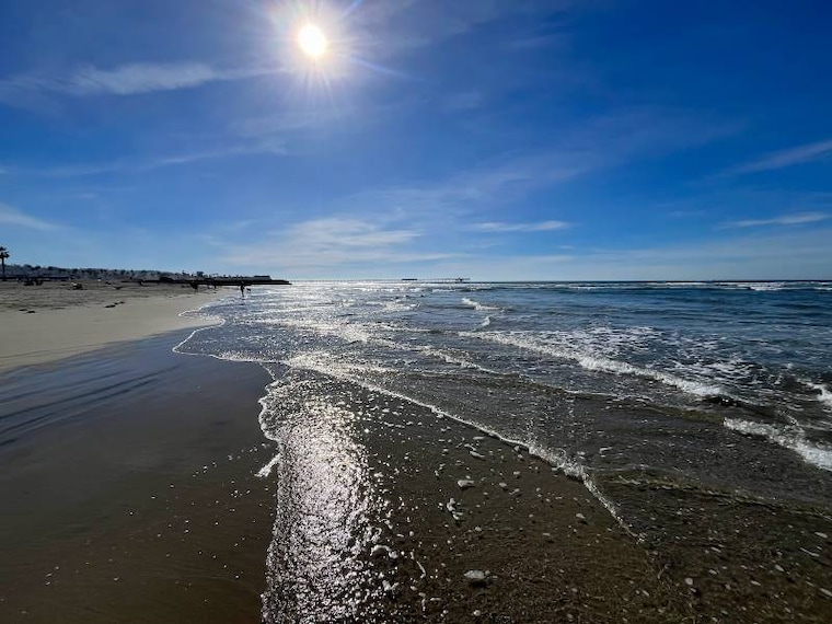 San_Diego_Dog_Beach_3