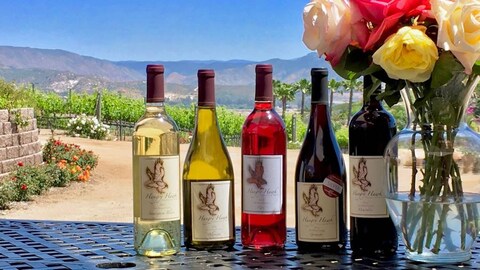 Hungry Hawk Vineyards & Winery