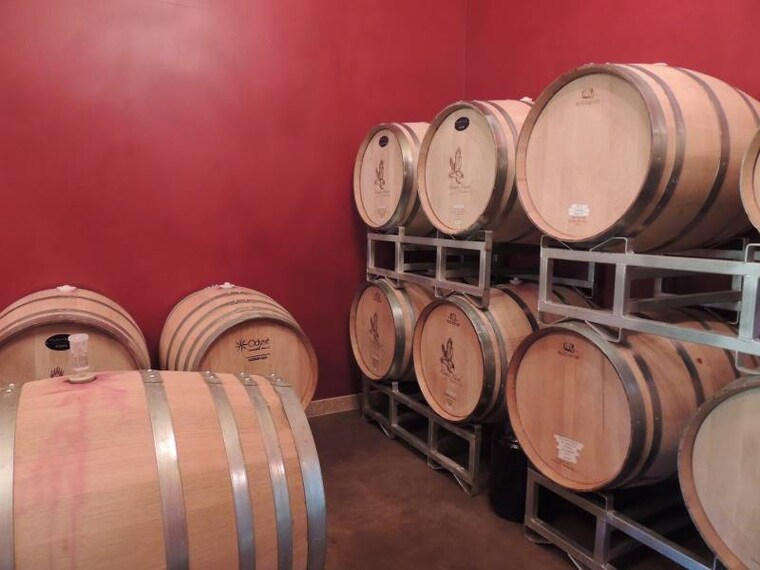 San_Diego_Hungry_Hawk_Vineyards_&_Winery_3