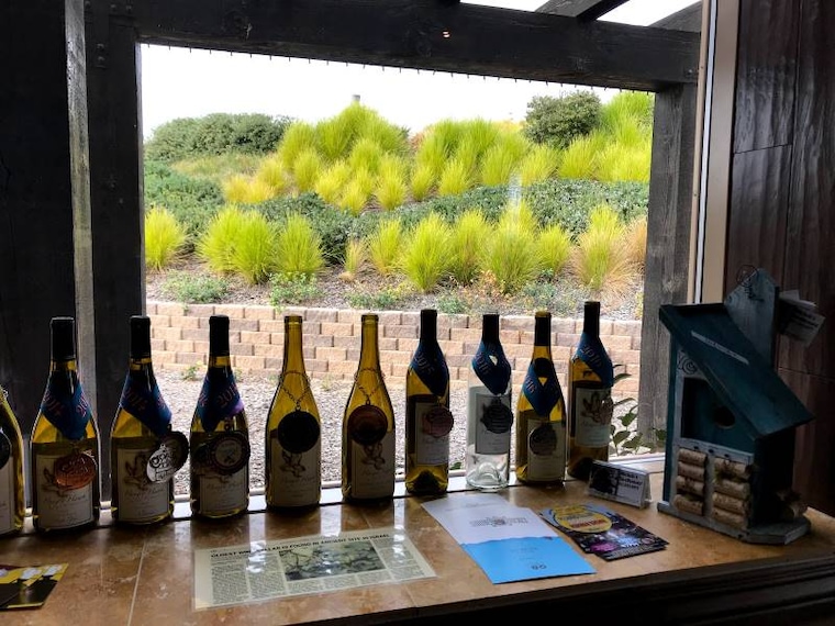 San_Diego_Hungry_Hawk_Vineyards_&_Winery_9