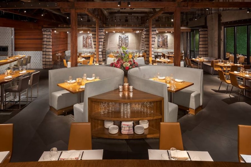 San_Diego_Juniper_&_Ivy_10