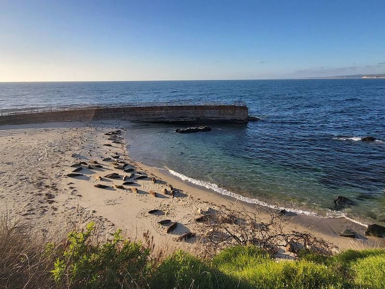 San_Diego_La_Jolla_Cove_5