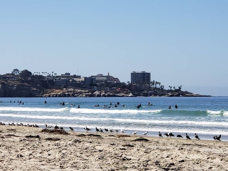 San_Diego_La_Jolla_Shores_Beach_2
