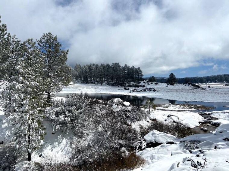 San_Diego_Mt_Laguna_10