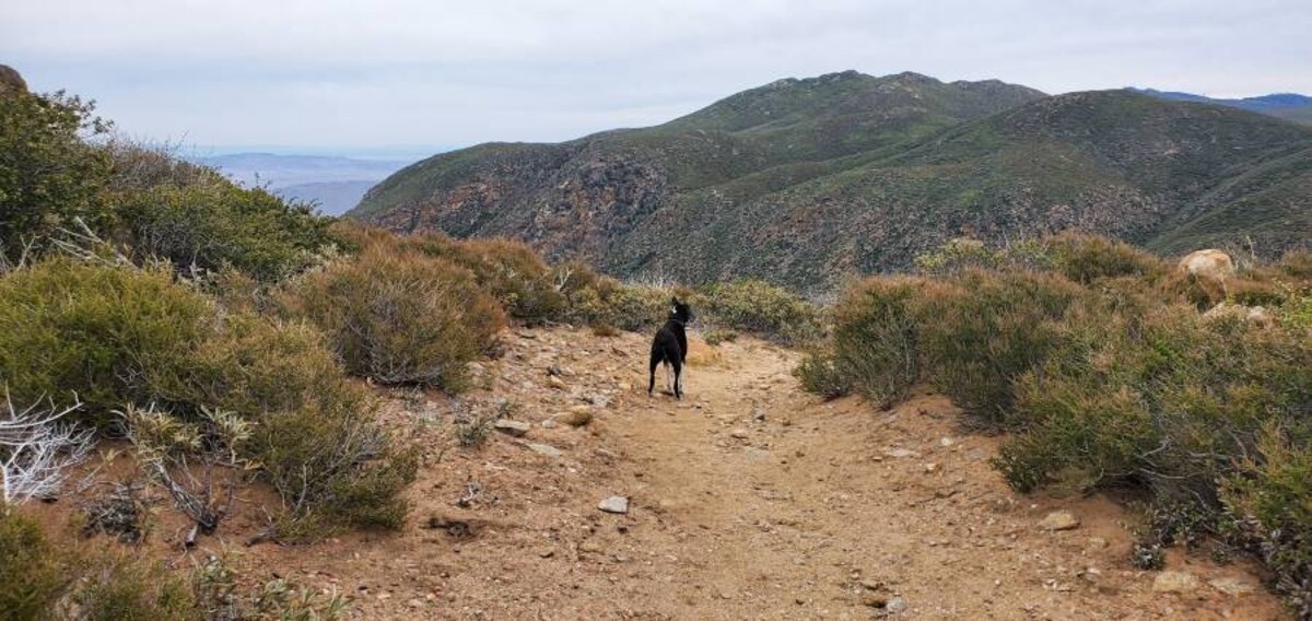 San_Diego_Mt_Laguna_2