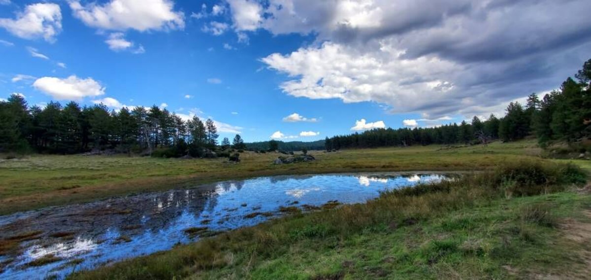 San_Diego_Mt_Laguna_7