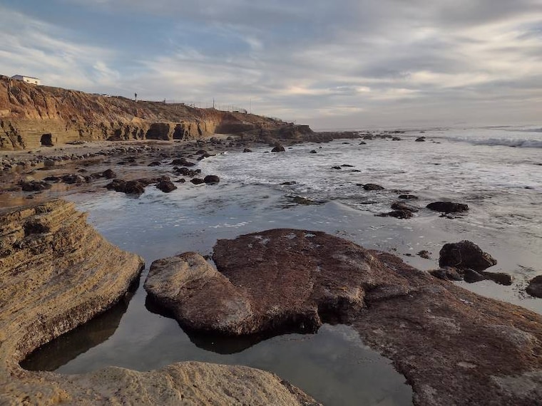 San_Diego_Point_Loma_Tide_Pools_6