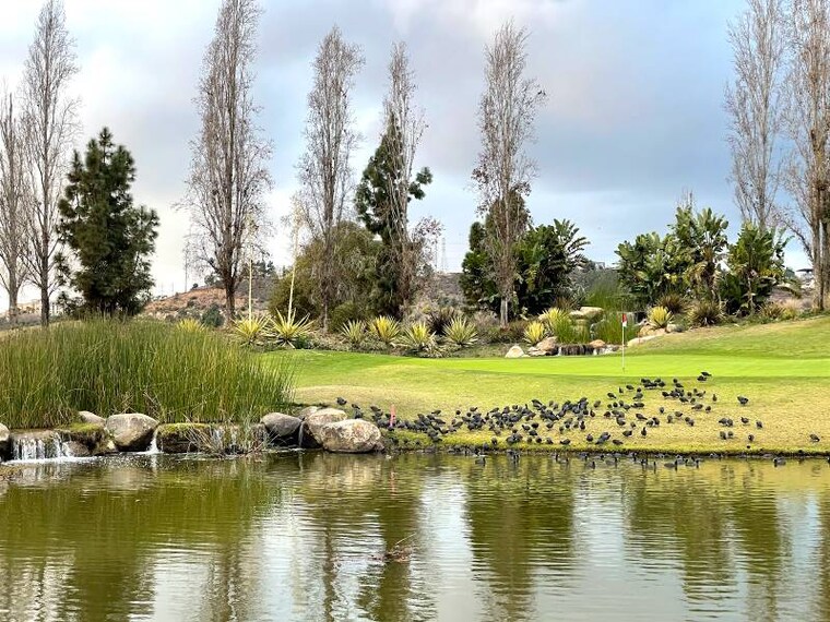 San_Diego_Riverwalk_Golf_Course_5