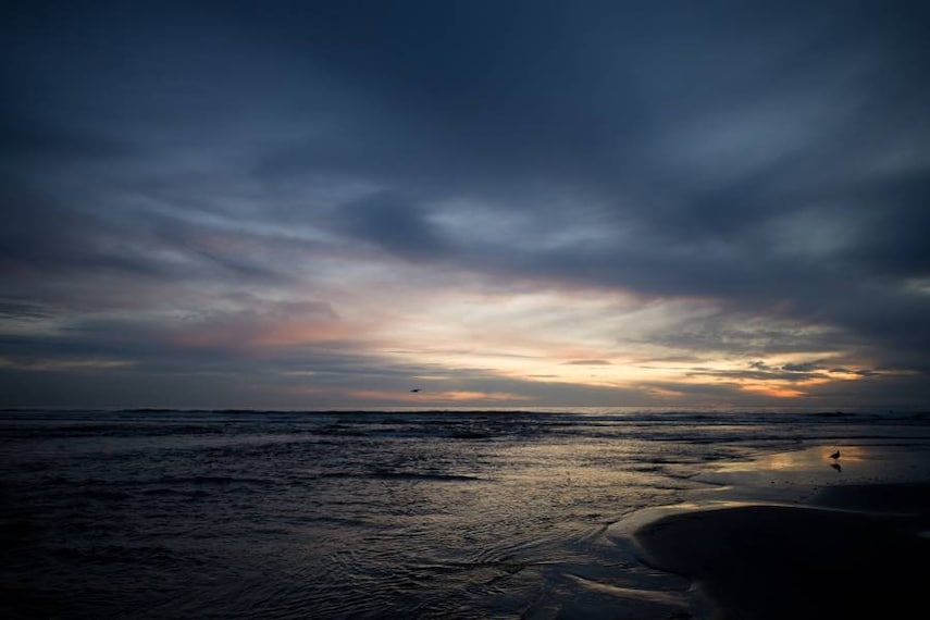 San_Diego_San_Elijo_Beach_4