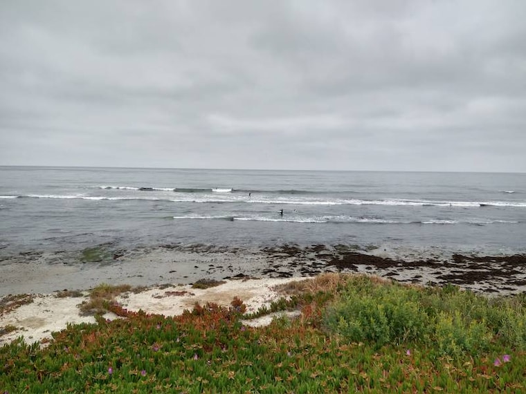 San_Diego_San_Elijo_Beach_5