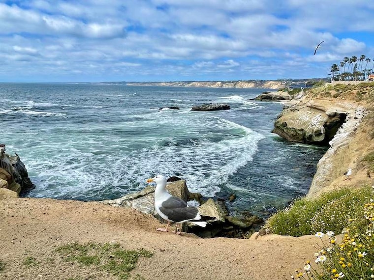 San_Diego_Shell_Beach_1