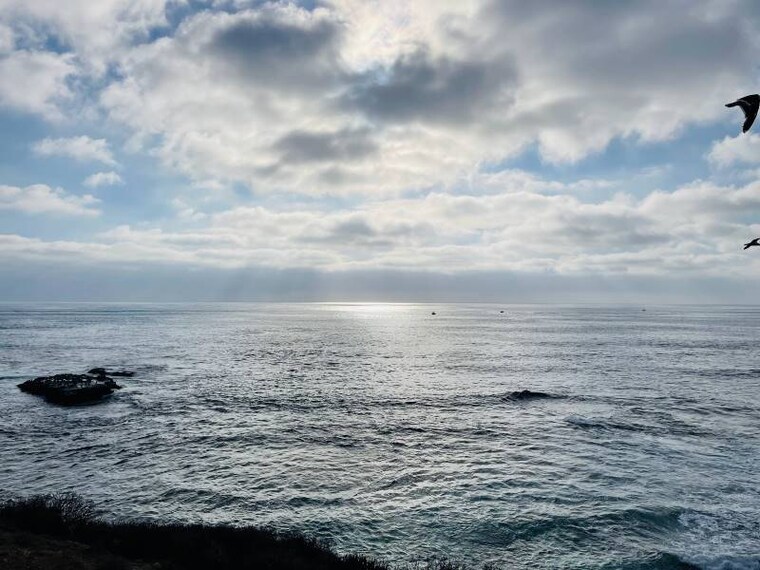 San_Diego_Shell_Beach_3