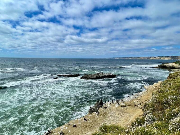 San_Diego_Shell_Beach_6