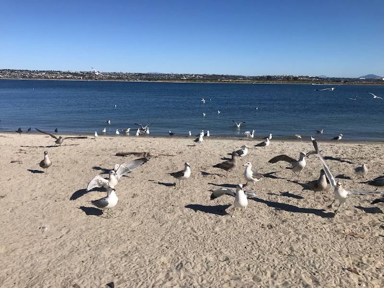 San_Diego_Ski_Beach_6