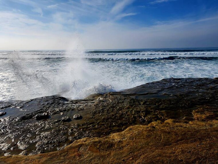 San_Diego_Sunset_Cliffs_Natural_Park_5