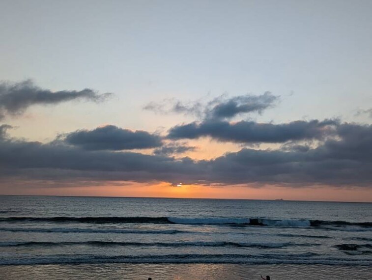 San_Diego_Torrey_Pines_State_Beach_10