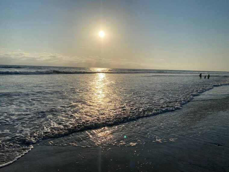 San_Diego_Torrey_Pines_State_Beach_5