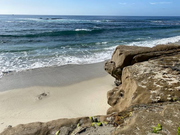San_Diego_Windansea_Beach_4